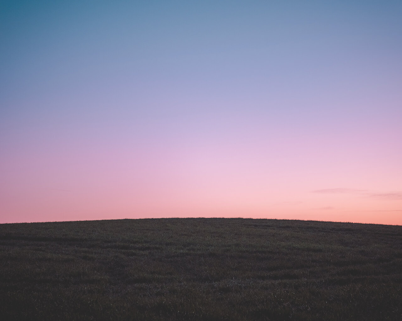 Sunrise over a grassy hill, representing 'Develop', the third step in the Strategic Design process employed by Creative Revolution to deliver web design, digital marketing, and branding projects.